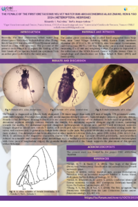 A.aliusposter.pdf