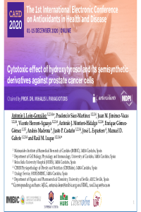 Presentation e-conference Antioxidants Hydroxytyrosol v2.pdf