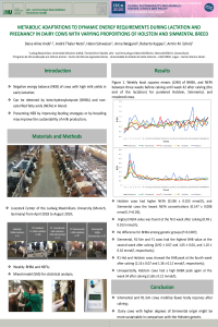Poster-Animals online Conference-sciforum 041578.pdf