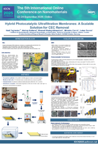 sciforum_123816_S5_slides_Hadi_Taghavian_poster_1.pdf