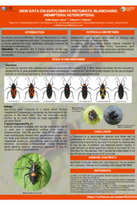 E.picturataPoster.pdf