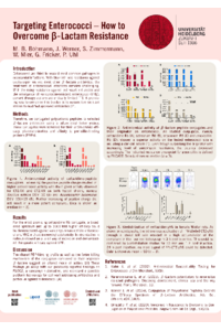 Poster_ECA2025_Boehmann.pdf