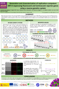 POSTER MDPI IBE 2025.pdf