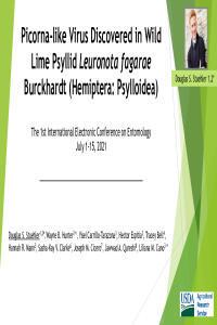 2021_#060921 Stuehler_et al_PPT_Psyllid Picorna-like Virus.pdf
