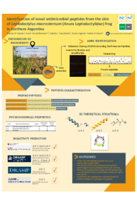 Marani_Poster_AMP_L.macrosternum.pdf