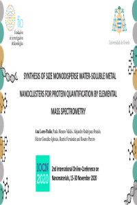 Charla Nanomaterials_final pdf.pdf
