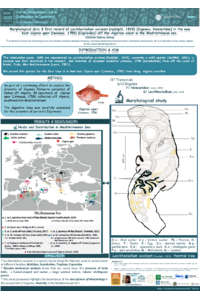 Zedam fz1st IOCTX Morphological data & first record of Lecithocladium excisum (rudolphi, 1819) (Digenea; Hemiuridae) in the new host Capros aper (linnaeus, 1758) (Caproidae) off the Algerian.pdf