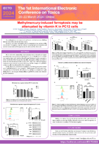 poster.pdf