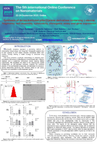 IOCN 2025 Poster_Sultanaev V.R..pdf