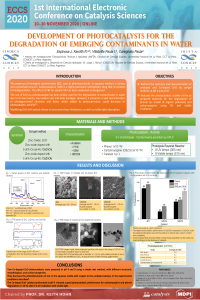 ESPINOSA_POSTER_ECCS2020.pdf