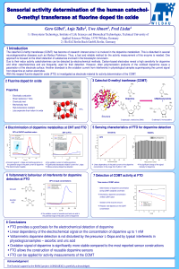 sciforum-035673 .pdf
