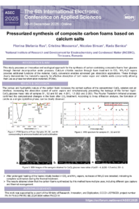 Poster ASEC 2025 Mosoarca.pdf