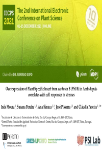 ppt iecps.pdf