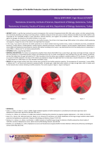 poster sunum son hali pdf.pdf