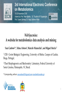 ppt_presentation_iecm3.pdf