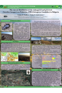Poster_2025_IECE_Carabus hungaricus_Bulgaria_distribution_sciforum-112579.pdf