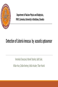 Presentation_Oravczová.pdf