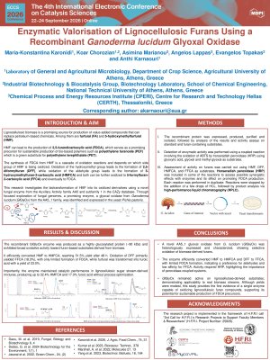 ECCS_2026_Poster_Karonidi.pdf