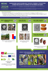 sciforum-106936.pdf