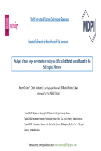 Sciforum 065561-ppt.pdf