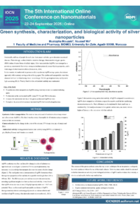 IOCN 2025 Poster Template.pdf