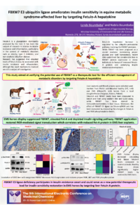 9th-ECMC_Poster_Dr Lynda Bourebaba.pdf