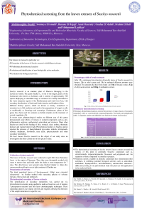 Abdelmoughite Ouakil-ECMC-Poster.pdf