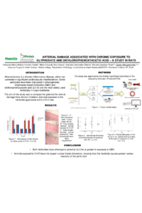 Poster IOCT 2025.pdf