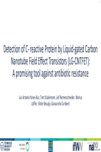 I3S_Presentation_Panes-Ruiz.pdf