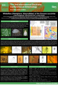 Drohojowska et al. Whiteflies (Hemiptera Aleyrodidae) of the Eocene succinite.pdf