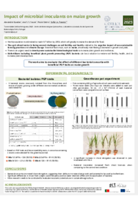 POSTER_SIA Pereira.pdf