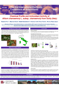 Poster Allium FINALE.pdf
