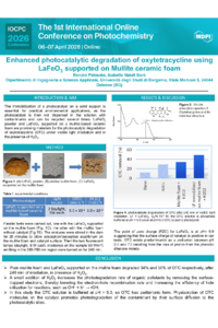 Poster 166304.pdf