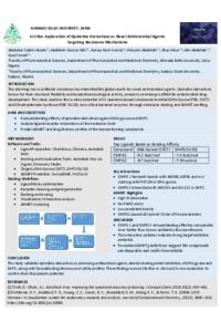 MDPI POSTER(1).pdf
