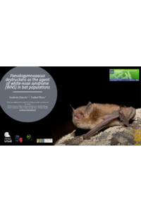 presentation_bats.pdf