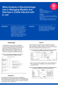 Academic Research Poster.pdf