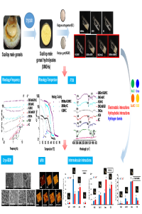 presentation.pdf