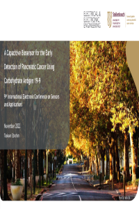Ebrahim_Presentation_MDPI_Sensors_Conference.pdf