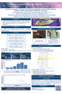 a0ac6faf72859ea6963b7c36dda74d3e.pptx (38.1 x 54.2 cm)_20260305_215214_0000.pdf