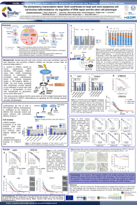 sciforum-041950.pdf