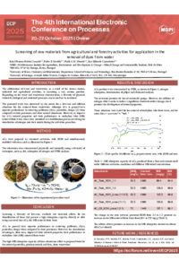 ECP2025 - Isabel_Pedro.pdf