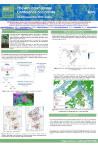 sciforum-095406_Svetlana Sultson.pdf