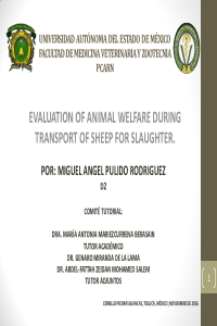welfare Molt2.pdf