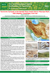 Rasoul Karamiani poster conf.pdf