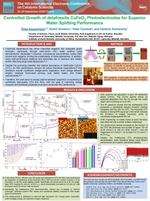 Sciforum-195073-Poster.pdf