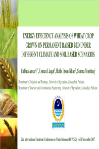 Presentation_Ansari.pdf