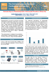 IECD poster A.Žalandauskaitė.pdf