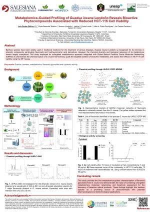 Poster-IECM-2026_vfinal.pdf