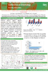 sciforum-118305_nnennaya.pdf