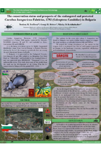 template_2025_IECE_Carabus hungaricus_Bulgaria_conservation_sciforum-112588.pdf